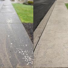 Tile Roof Cleaning & Pressure Washing in Camas, WA 5